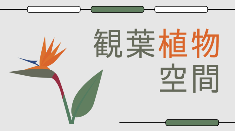 観葉植物空間